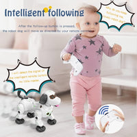 RC Multi-functional Lucky Robot Dog With Smoke