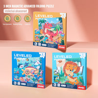 3in1 Magnetic Puzzle Book - Assortment