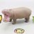 1Pc Premium Hippo Animal Figure Toy