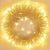 Premium Decor Golden Fairy Lights