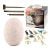 Kids Explorer Dinosaur Egg Dig Set