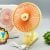 Multi-functional Mini Handheld & Desktop Fan With Light
