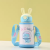 500ml Stainless Steel Bunny Themed Kids Water Bottle