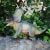 1Pc Mini Kids Rubber Dinosaur Toy With Sound - Assortment