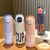 500ml Unique Stainless Steel Sipper Water Bottle