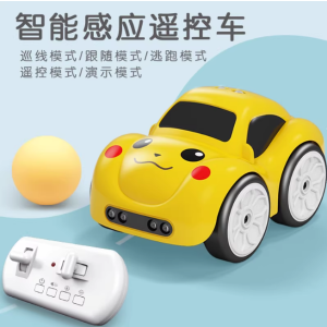 2.4G Electric Mini Remote & Induction Controlled Car