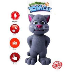 Multi-functional Talking Intelligent TomCat